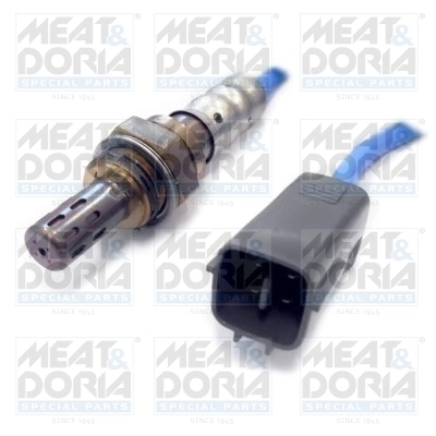 Oxygen Sensor